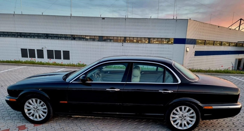 Jaguar XJ cena 54900 przebieg: 220000, rok produkcji 2003 z Poznań małe 407